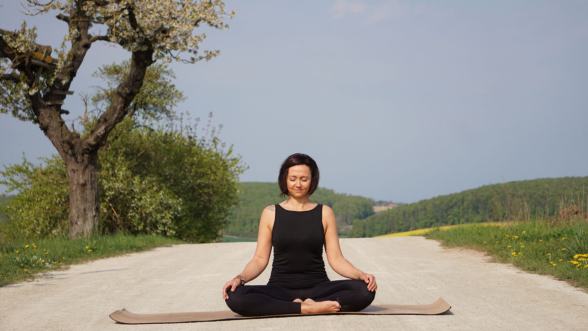 Meditation